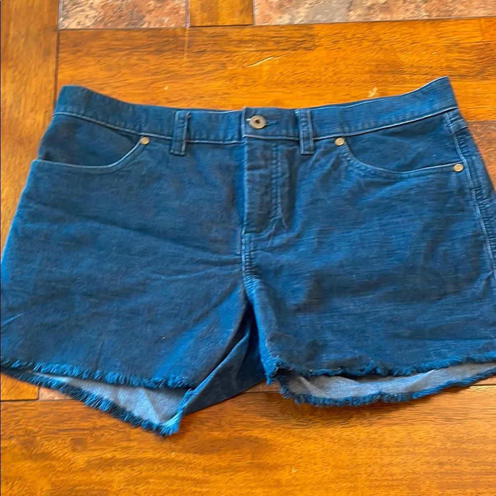 Carve Designs Blue Corduroy Shorts Size 8 EUC